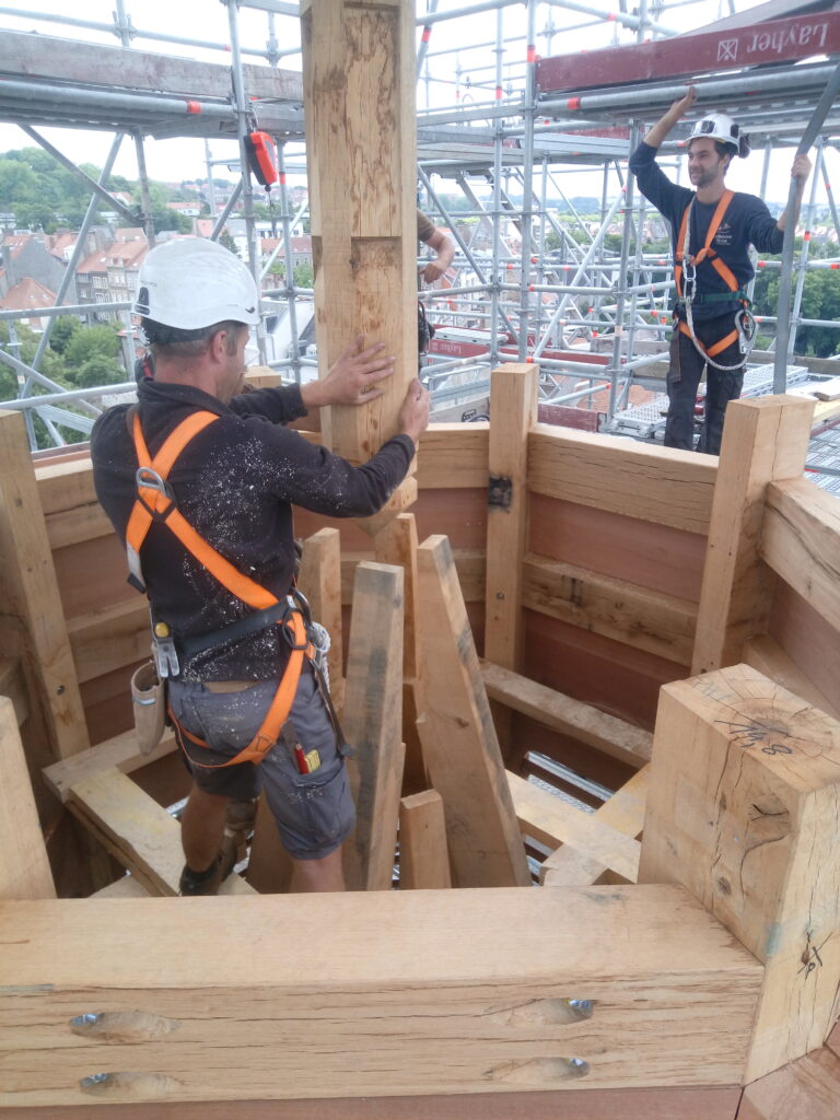 IMG_20250730_120947_105